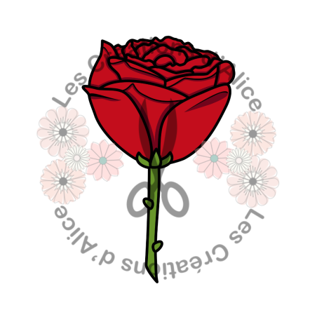 Illustration d’une Rose ????​ Rouge
