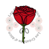 Illustration d’une Rose 🌹​ Rouge