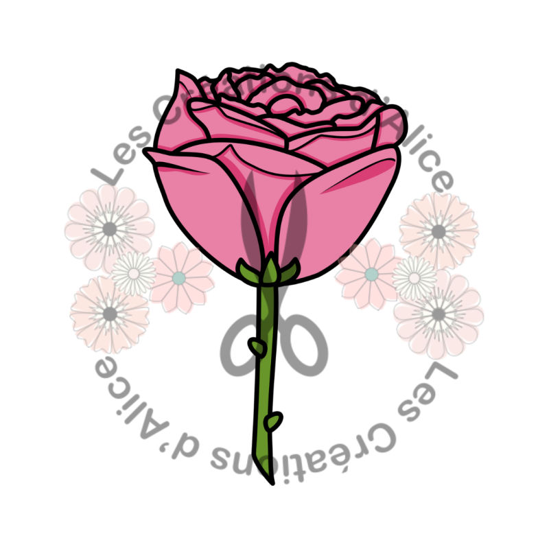 Illustration d’une Rose 🌹​ Rose
