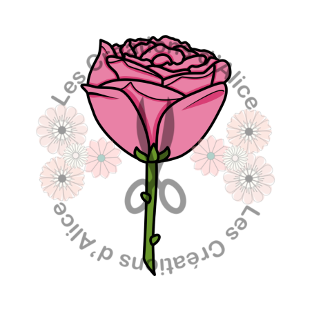 Illustration d’une Rose ????​ Rose