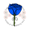 Illustration d’une Rose 🌹​ Bleu