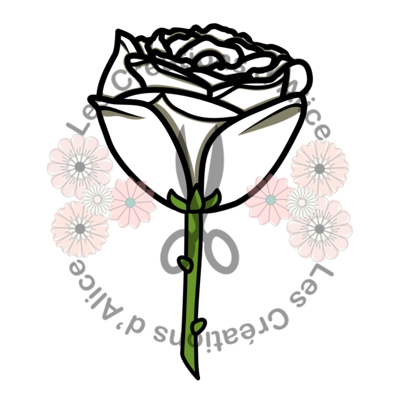 Illustration d’une Rose 🌹​ Blanche