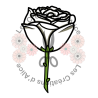Illustration d’une Rose 🌹​ Blanche